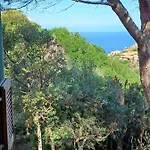 La Lecceta Surrounded By Greenery And Sea View With Sunset Nyaraló Costa Paradiso